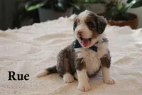 processed/0ab8598b-b9f5-454a-9758-64270c60f34d/listing/43917b7b-fb66-4cfe-ac8f-0920c3a5bbd6/b123a798-b3e8-468d-883c-57f576077357