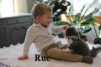 processed/0ab8598b-b9f5-454a-9758-64270c60f34d/listing/43917b7b-fb66-4cfe-ac8f-0920c3a5bbd6/cc08b7c1-ea03-445f-947c-f8e0cd6f6319