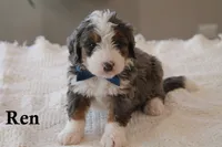 processed/0ab8598b-b9f5-454a-9758-64270c60f34d/listing/aafd75d9-1f6c-41f3-9cea-067e403620a1/9aeae644-00b3-4fa9-b5ee-834729fdfeb8