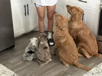 processed/0ab8e7e8-a4fd-464c-9e9b-6f292ce41a51/facility/1eea270b-2cda-42b0-8ec2-74df4de21e07