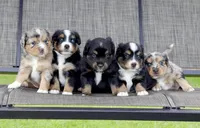 processed/0ab8e7e8-a4fd-464c-9e9b-6f292ce41a51/facility/48ad40ab-1058-4f4e-9a5f-6c7a340d013b