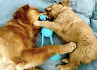 processed/0ab8e7e8-a4fd-464c-9e9b-6f292ce41a51/facility/886ae4cc-d792-429f-9379-73e7821ac326