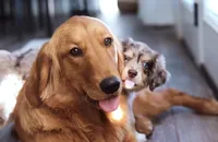 processed/0ab8e7e8-a4fd-464c-9e9b-6f292ce41a51/facility/b8d993ca-9e8a-47d7-81df-bf8c9cd084d6