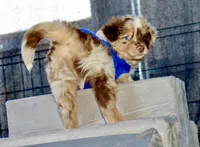 processed/0ab8e7e8-a4fd-464c-9e9b-6f292ce41a51/facility/dbc63676-3783-4ebc-99a6-e3cb7731da67