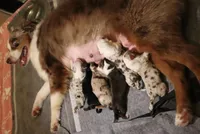 processed/0ab8e7e8-a4fd-464c-9e9b-6f292ce41a51/facility/f572eacd-ece7-40e9-bdeb-13a8e1dd492e