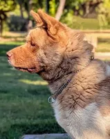 processed/0ab911d1-1c23-464f-b570-8eba6dee3a4f/listing/b79671ec-f7db-40fe-8e77-4db6b39bb873/0efbc358-d572-45d4-99b4-5a1eb4d22fcb