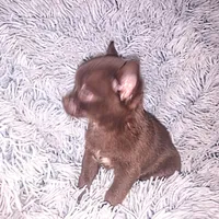 processed/0abd2d7c-4963-4b96-89b8-99416da08e13/facility/25140ef6-f0af-48d3-a061-21b5bae5a4f0