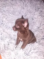 processed/0abd2d7c-4963-4b96-89b8-99416da08e13/facility/25140ef6-f0af-48d3-a061-21b5bae5a4f0