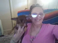 Myla, a female Chihuahua for sale in Sebring, OH – 3 of 6