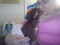 Myla, a female Chihuahua for sale in Sebring, OH – 4 of 6