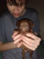 processed/0abd2d7c-4963-4b96-89b8-99416da08e13/listing/bd793927-e51a-4b6e-8ed2-4127b558723b/42ad7ebe-1e16-4064-bb9b-fa2a09b85278