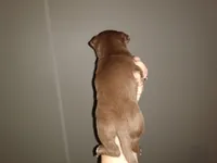 processed/0abd2d7c-4963-4b96-89b8-99416da08e13/listing/bd793927-e51a-4b6e-8ed2-4127b558723b/9bef2bfc-3587-4e44-9e71-0ad572c61930