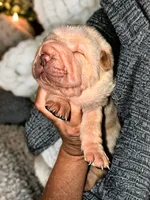 processed/0ac00071-4e31-48c4-8266-3c9632ca1a80/listing/0e8fc153-d0eb-4a1c-89c4-b08eab716490/c66a67fa-1398-498f-88f6-aa267f51164d