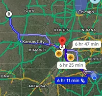 Mogley, a male Chinese Shar-Pei for sale in Pikeville, TN – Photo 3 of 3