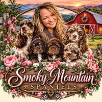 Reuben, a male Cocker Spaniel for sale in Pikeville, TN – 6 of 6