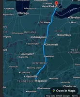 Sterling, a male Newfoundland for sale in Pikeville, TN – Photo 9 of 9