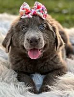 processed/0ac00071-4e31-48c4-8266-3c9632ca1a80/listing/b72a0cd5-cc71-41db-befa-e476d81fd752/75cc6c5a-5702-4b70-9728-b1d4d3206fea