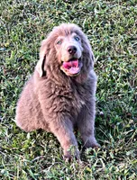 processed/0ac00071-4e31-48c4-8266-3c9632ca1a80/listing/b72a0cd5-cc71-41db-befa-e476d81fd752/7c0b19e4-076a-4e7d-a5a0-7b961d66e3a7