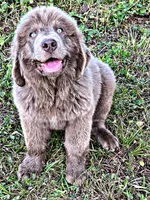 processed/0ac00071-4e31-48c4-8266-3c9632ca1a80/listing/b72a0cd5-cc71-41db-befa-e476d81fd752/9666ff65-3754-4de5-a916-b4ba6b0d9473