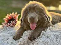 processed/0ac00071-4e31-48c4-8266-3c9632ca1a80/listing/b72a0cd5-cc71-41db-befa-e476d81fd752/a5f94a66-65dc-4f74-afd1-8ed4248549f6