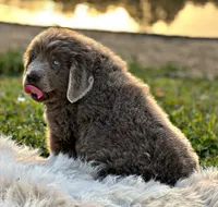 processed/0ac00071-4e31-48c4-8266-3c9632ca1a80/listing/b72a0cd5-cc71-41db-befa-e476d81fd752/abba4218-dc64-42e0-98d7-a4879ec5db99