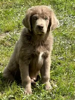 processed/0ac00071-4e31-48c4-8266-3c9632ca1a80/listing/b72a0cd5-cc71-41db-befa-e476d81fd752/e6273e23-a2ae-4fd1-abc7-e44f0ee1df7e