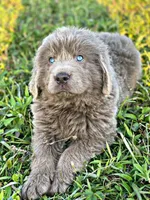 processed/0ac00071-4e31-48c4-8266-3c9632ca1a80/listing/b72a0cd5-cc71-41db-befa-e476d81fd752/f5b9131c-8afb-401f-a506-d4349311799e