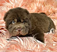 processed/0ac00071-4e31-48c4-8266-3c9632ca1a80/listing/ef5f42aa-1ba4-467d-ac02-6d9ebc8385de/861bd4ec-18c8-4826-b136-2cbd493866bc