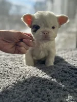 processed/0acab512-a323-4bdc-b661-21b92df5606a/listing/809eb5eb-a77a-4b58-8c01-4edf9e59c5b1/39b3a807-5ae7-4cc8-a1bb-93bc227e4a6d