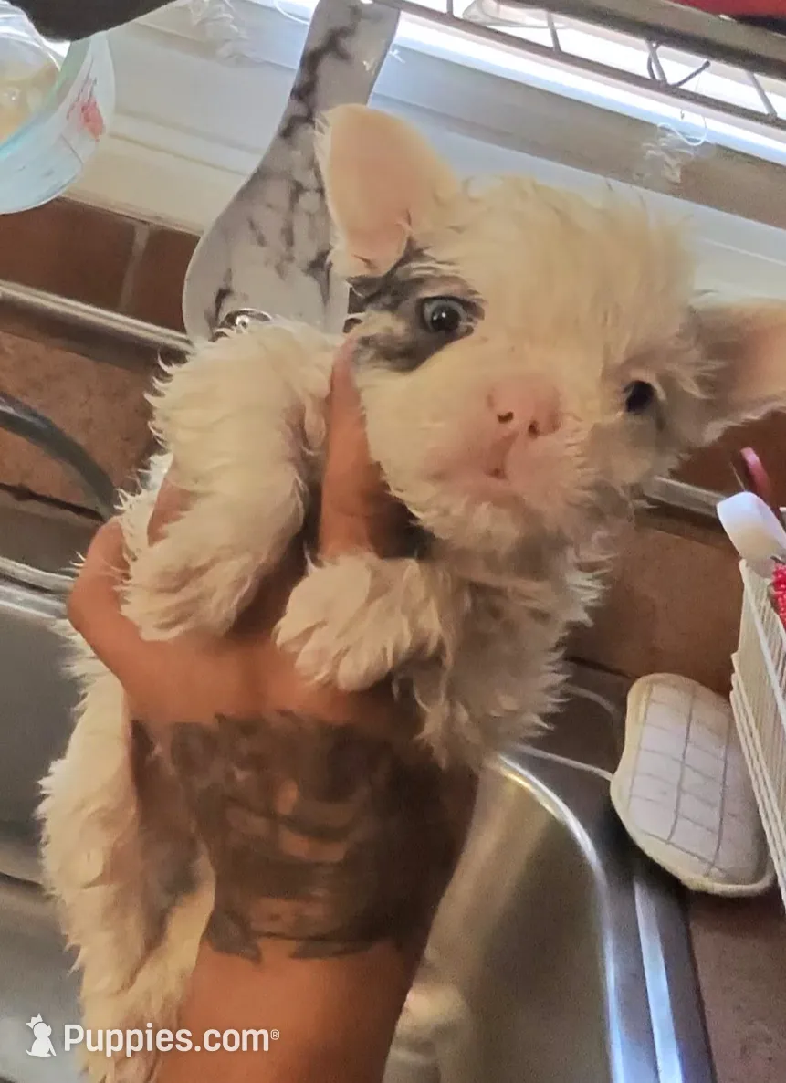 processed/0acab512-a323-4bdc-b661-21b92df5606a/listing/809eb5eb-a77a-4b58-8c01-4edf9e59c5b1/923ba691-6c2c-4aee-a929-9a3b83b79630