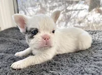 processed/0acab512-a323-4bdc-b661-21b92df5606a/listing/809eb5eb-a77a-4b58-8c01-4edf9e59c5b1/d40591c6-9e44-46ca-a7db-7fdb45c04b62