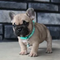 processed/0accc467-612e-4e1b-9c21-9e54db78243b/facility/189c1f6f-e633-4fb6-b320-1626c5109d45