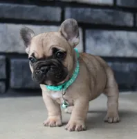 processed/0accc467-612e-4e1b-9c21-9e54db78243b/facility/189c1f6f-e633-4fb6-b320-1626c5109d45