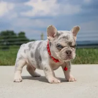 processed/0accc467-612e-4e1b-9c21-9e54db78243b/facility/2e6b3070-1c94-4fa9-85c9-e9a924cb76df