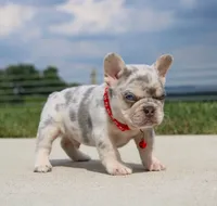 processed/0accc467-612e-4e1b-9c21-9e54db78243b/facility/2e6b3070-1c94-4fa9-85c9-e9a924cb76df