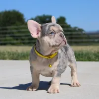 processed/0accc467-612e-4e1b-9c21-9e54db78243b/facility/4832a5ac-5d60-4240-af21-817f1af0885f