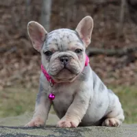 processed/0accc467-612e-4e1b-9c21-9e54db78243b/facility/7bbd50c8-33c4-4177-be21-f961e5f36912