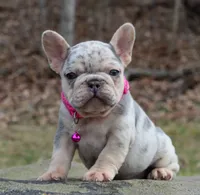 processed/0accc467-612e-4e1b-9c21-9e54db78243b/facility/7bbd50c8-33c4-4177-be21-f961e5f36912