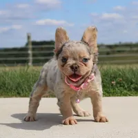 processed/0accc467-612e-4e1b-9c21-9e54db78243b/facility/fdf7b99b-4a44-41ee-94e8-b024a7f7d901