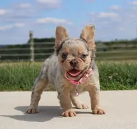 processed/0accc467-612e-4e1b-9c21-9e54db78243b/facility/fdf7b99b-4a44-41ee-94e8-b024a7f7d901