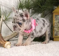 processed/0accc467-612e-4e1b-9c21-9e54db78243b/listing/73e0fd0c-d12a-4e8f-bd5c-a144c55785e0/0426141b-24e5-451d-8163-712b3e4e0a95