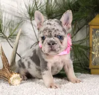 processed/0accc467-612e-4e1b-9c21-9e54db78243b/listing/73e0fd0c-d12a-4e8f-bd5c-a144c55785e0/8eee7c15-1480-4df8-a20b-0edef3a08eba