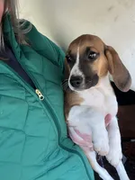 processed/0ad0e0e0-d56b-4ef9-a6e9-7fa1f160ddaa/listing/de38b56a-d378-4c59-a5d3-7db97d1cc30e/175b44dd-8aa9-444e-8ec7-4b3c3b788064