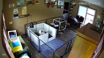 Facility video