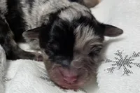 processed/0ad493bc-17e2-484a-af2d-00d70ab9b1fe/listing/04c44dfc-c55c-4388-aa27-8d0425aee28c/01855240-8bd6-47cc-bda8-73508a1c71cd