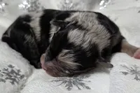 processed/0ad493bc-17e2-484a-af2d-00d70ab9b1fe/listing/04c44dfc-c55c-4388-aa27-8d0425aee28c/53c50478-f636-4f15-9ac0-203948b62b18