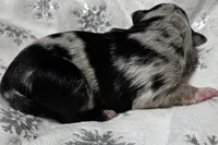 processed/0ad493bc-17e2-484a-af2d-00d70ab9b1fe/listing/04c44dfc-c55c-4388-aa27-8d0425aee28c/5ab302da-667c-4e9f-bf0b-34cd51d9513d