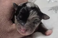 processed/0ad493bc-17e2-484a-af2d-00d70ab9b1fe/listing/04c44dfc-c55c-4388-aa27-8d0425aee28c/7d52e2a1-1bf2-491e-80d2-69d2f8781566