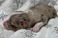 processed/0ad493bc-17e2-484a-af2d-00d70ab9b1fe/listing/2f6a4b00-fd98-491d-8a70-c319413d9093/14cf74bc-e1e2-45c5-b5b1-90d0276f90ed