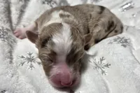 processed/0ad493bc-17e2-484a-af2d-00d70ab9b1fe/listing/2f6a4b00-fd98-491d-8a70-c319413d9093/944510fe-5622-4482-be25-9f9e7f378ced